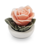 Bouquet Rosa di Cera con base di gesso