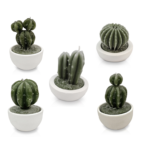 Candela a forma di cactus con vasetto di gesso